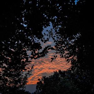 外国裸体视频在线观看
